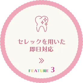 セレックを用いた即日対応